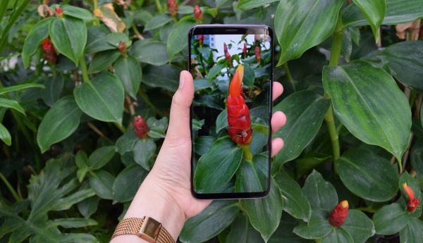 Khắc phục lỗi Camera Samsung S9 / S9 Plus