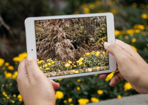 Cách khắc phục iPad Mini 5 camera mờ, không lấy nét