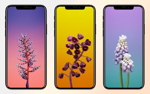 Iphone XI liệt cảm ứng, hư cảm ứng