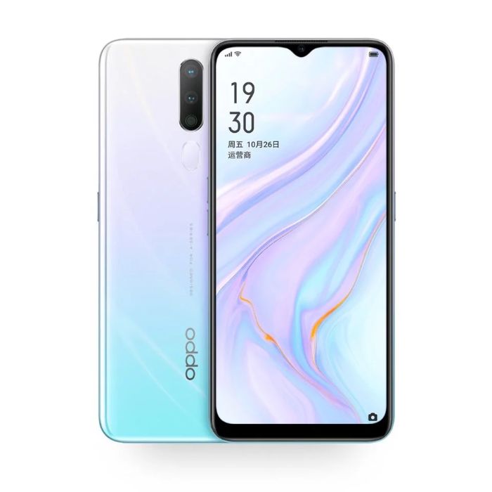 Oppo A11 Bi Loi Cam Ung (1)